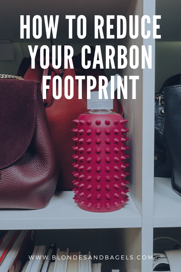Lifestyle blogger Kelsey from Blondes & Bagels gives tips for how to reduce your carbon footprint in 2020!
