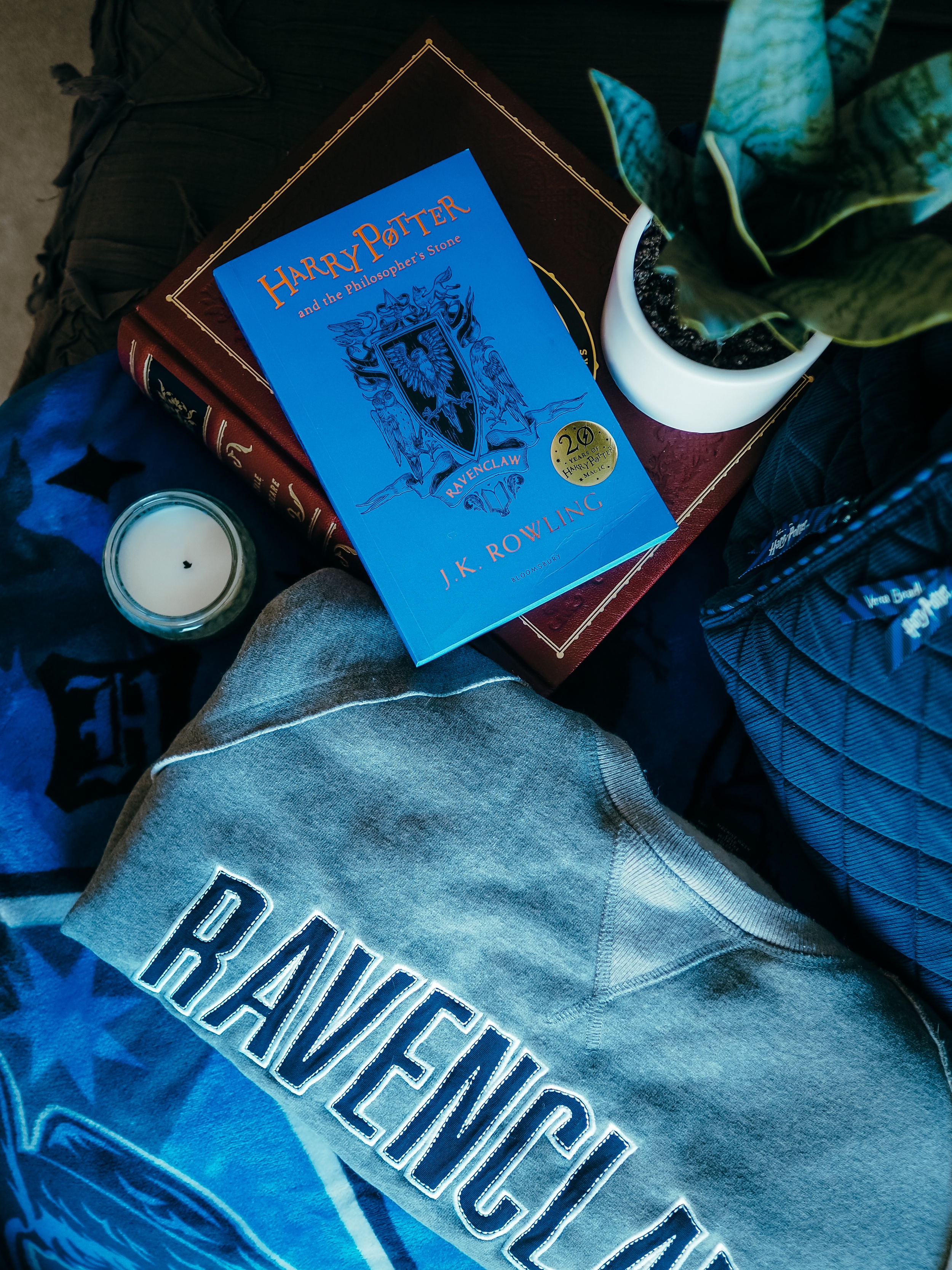 Ravenclaw aesthetic, but make it chic. Find out how to add some Ravenclaw aesthetic to your home, wardrobe, and life in this magical guide.