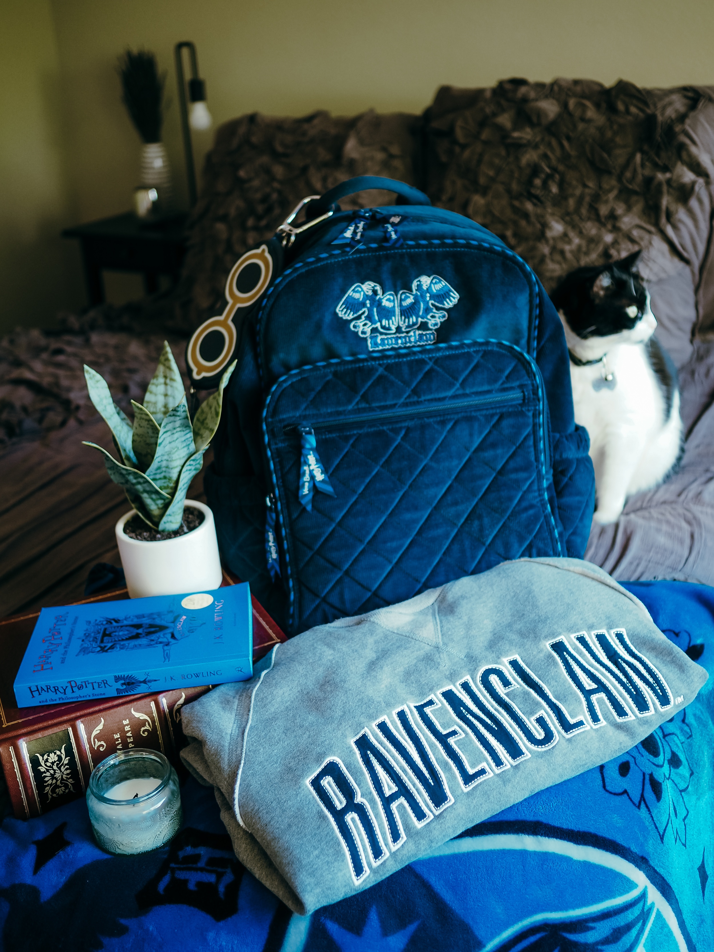 Ravenclaw aesthetic, but make it chic. Find out how to add some Ravenclaw aesthetic to your home, wardrobe, and life in this magical guide.