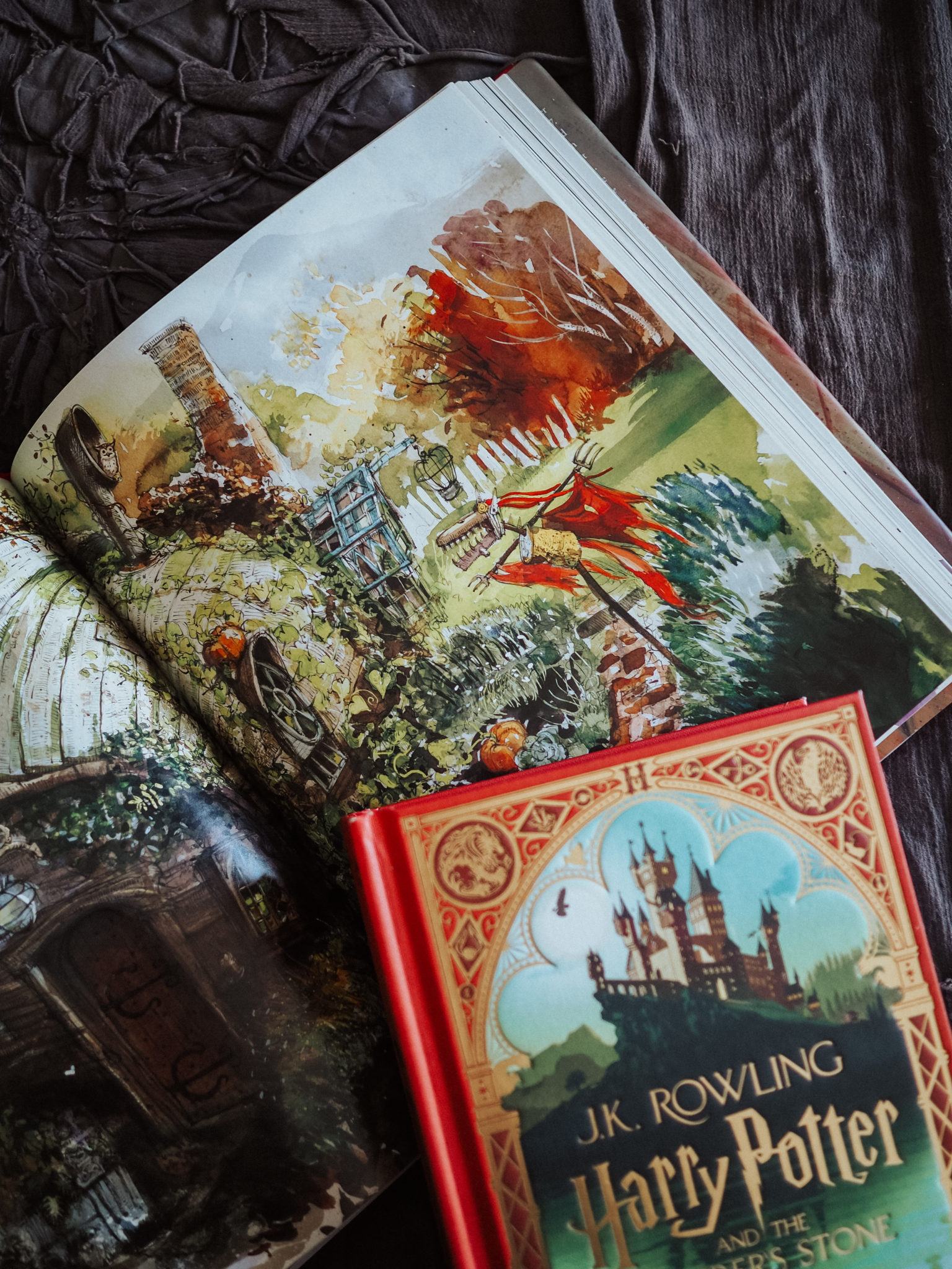 free download harry potter illustrated books