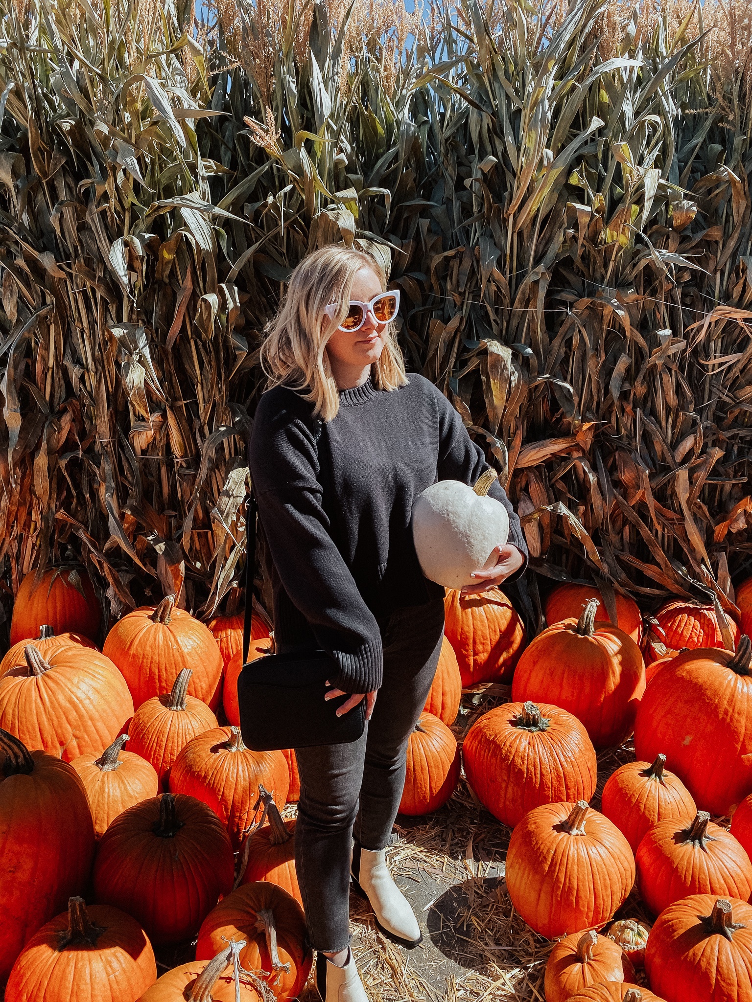 It's pumpkin patch season! Plan the perfect visit to a pumpkin patch near you with these easy tips and tricks!